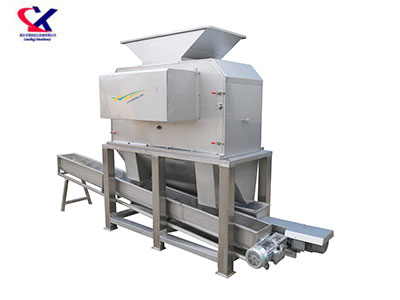 广西火龙果剥皮榨汁机