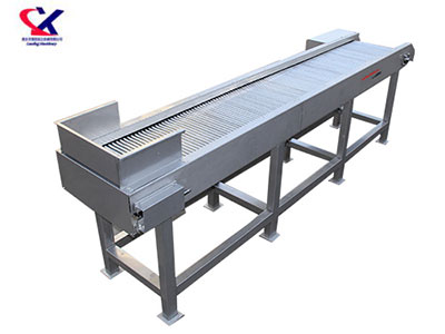 广西O型果专用选果机