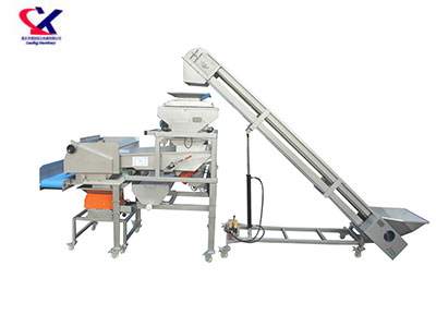 广西振动式除梗粒选生产线