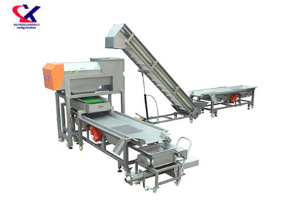 广西转筒式脱梗粒选生产线