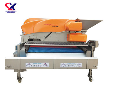 广西链板式葡萄除梗粒选机