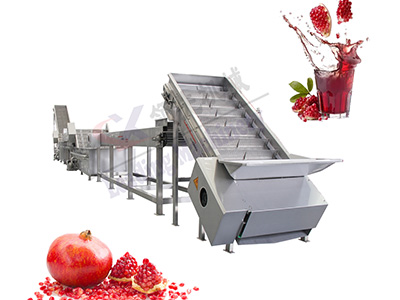 广西石榴果汁生产线